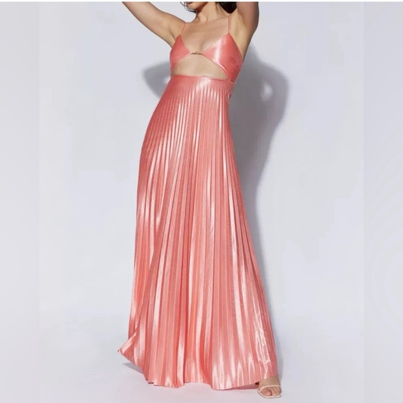 Meshki Rosewater Fareeba Pleated Maxi Dress NWT XS - Picture 1 of 6